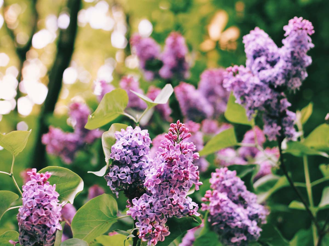 今年财运翻身！这3个生肖苦尽甘来，赚钱比以前轻松多了！